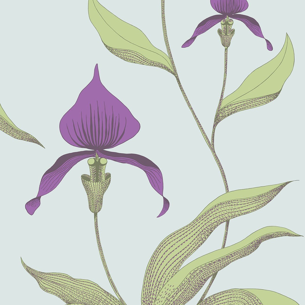Papier peint Orchidée