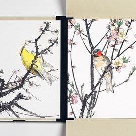 Impressions d'oiseaux japonais